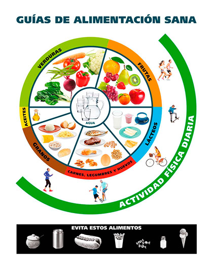 guia de alimentación sana